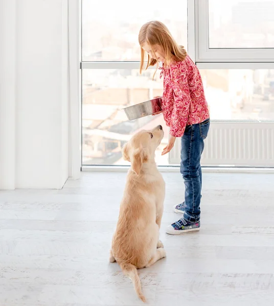 A lány ételt ad a kutyának — Stock Fotó