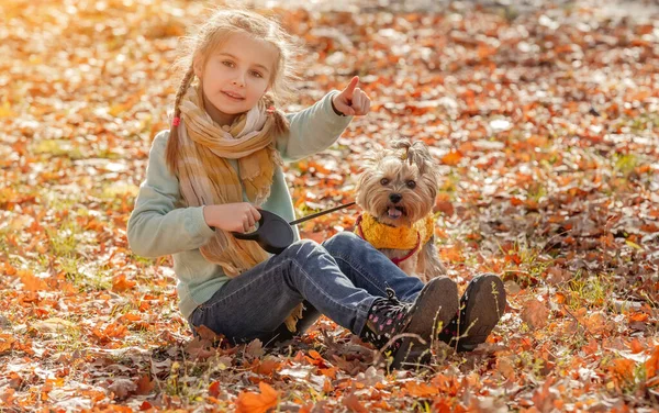 Jolie fille avec yorkshire terrier — Photo