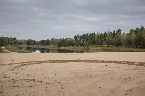 Sonbahar kumsalı ile küçük orman göl kenarında