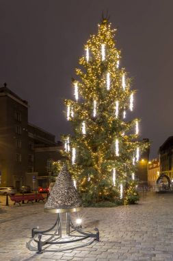 Noel ağacı, Riga, Letonya ışıklı siyah nokta ev ve St Peter Kilisesi karşı koyu mavi gökyüzü ile.