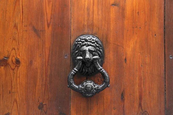 Lion Head Door Knocker — Stock Photo, Image