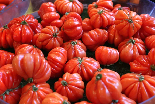 Duże czerwone pomidory na rynku — Zdjęcie stockowe