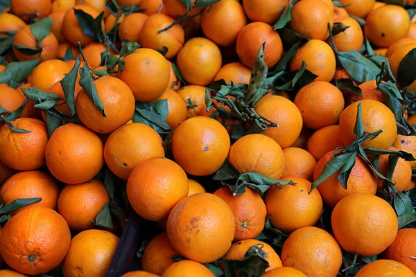Ripe bright tangerines — Stock Photo, Image