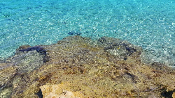 Zářivě tyrkysové mořské vody a pobřežní skály — Stock fotografie