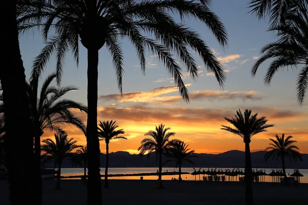 Beautiful sunset on the beach — Stock Photo, Image