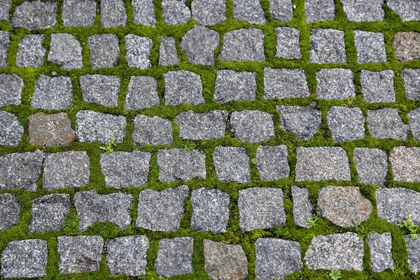 Estrada pavimentada com pedras e musgo verde brotado — Fotografia de Stock