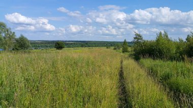 Güzel yaz manzarası