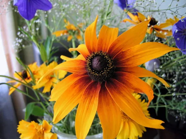 Beautiful bright bouquet with rudbeckia flower — Stock Photo, Image