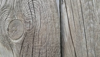 Yüzük ve çatlaklar ile ahşap doku eski yıpranmış