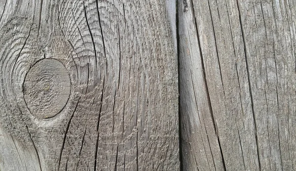 Yüzük ve çatlaklar ile ahşap doku eski yıpranmış