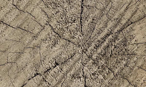 Natural wooden texture with rings and cracks pattern — Stock Photo, Image