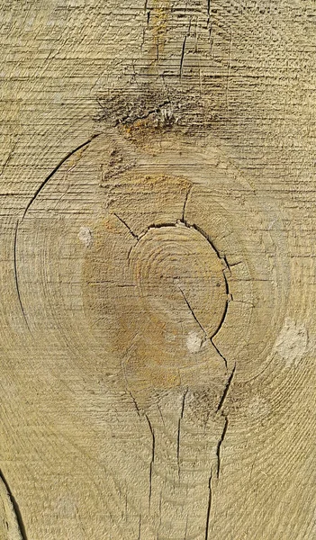 Old weathered wooden texture with rings and cracks — Stock Photo, Image