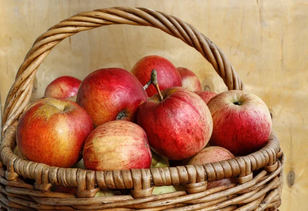 Heldere rijpe appels in een mandje — Stockfoto