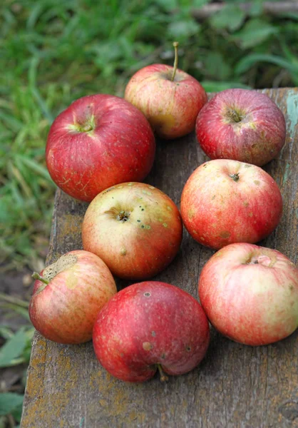 Manzanas maduras brillantes — Foto de Stock