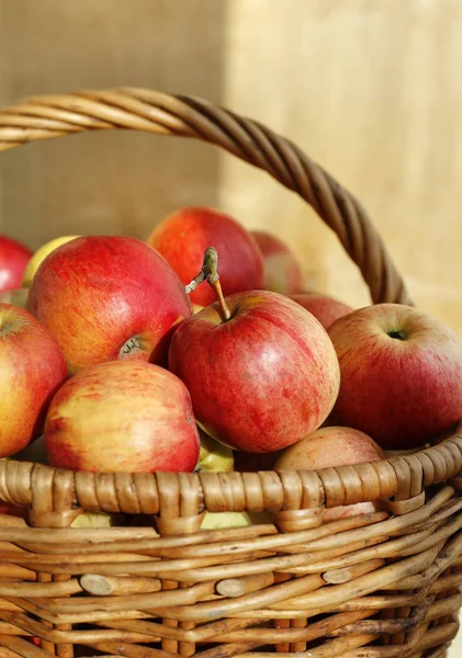 Heldere lekkere rijpe appels in een mandje — Stockfoto