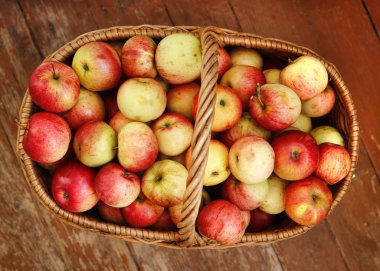 Sepet içinde parlak lezzetli olgun elma