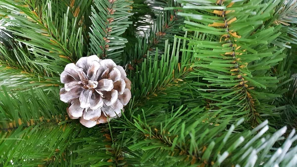 Parlak yeşil bir con ile yapay bir Noel ağacı dalları — Stok fotoğraf