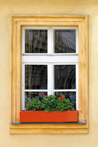 Venster van oud huis met geranium bloemen — Stockfoto