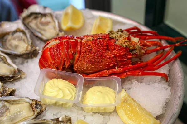 Dish of fresh seafood, lobster with oysters with lemon and sauce — Stock Photo, Image