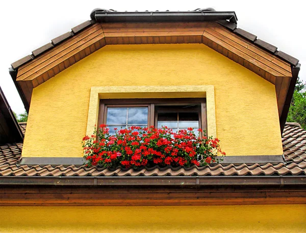 Attic window of yellow stone house decorated with red geranium Stock Photo