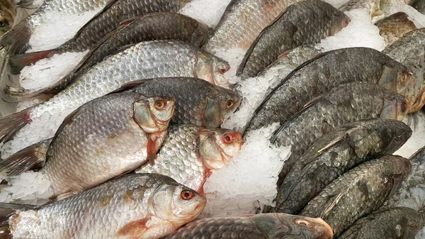 Pescado refrigerado sobre hielo para la venta en el mercado — Foto de Stock