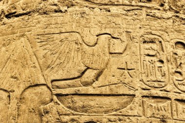 Antik Mısır hiyeroglif Luksor Karnak tapınağında