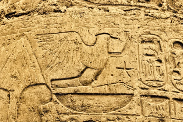 Starověké egyptské hieroglyfy v chrámu Karnak v Luxoru — Stock fotografie