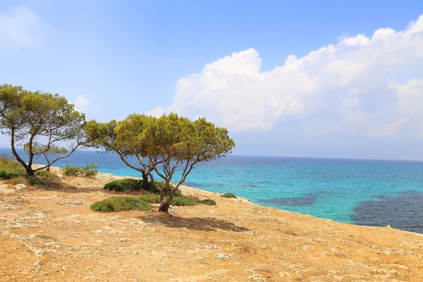 スペイン、マヨルカ島のターコイズ ブルーの海の美しい眺め — ストック写真
