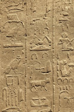 Antik Mısır hiyeroglif Karnak t taş oyma