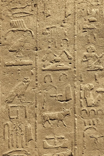 Ancient egyptian hieroglyphs carved on the stone in the Karnak T — Stock Photo, Image