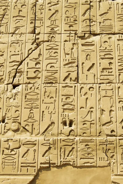 Ancient egyptian hieroglyphs carved on the stone in the Karnak T