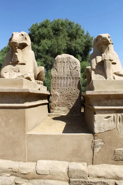 Statue of Ram Headed Sphinx in Karnak Temple, Luxor, Egypt — Stock Photo, Image