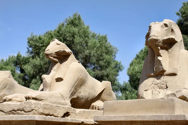 Statue of Ram Headed Sphinx in Karnak Temple, Luxor, Egypt — Stock Photo, Image