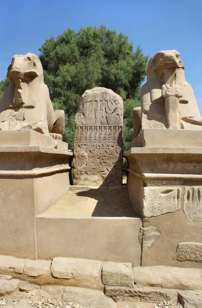 Standbeeld van Ram onder leiding van Sphinx in Karnak tempel, Luxor, Egypte — Stockfoto