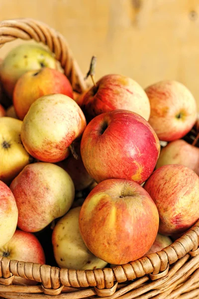 Pommes mûres savoureuses dans un panier — Photo