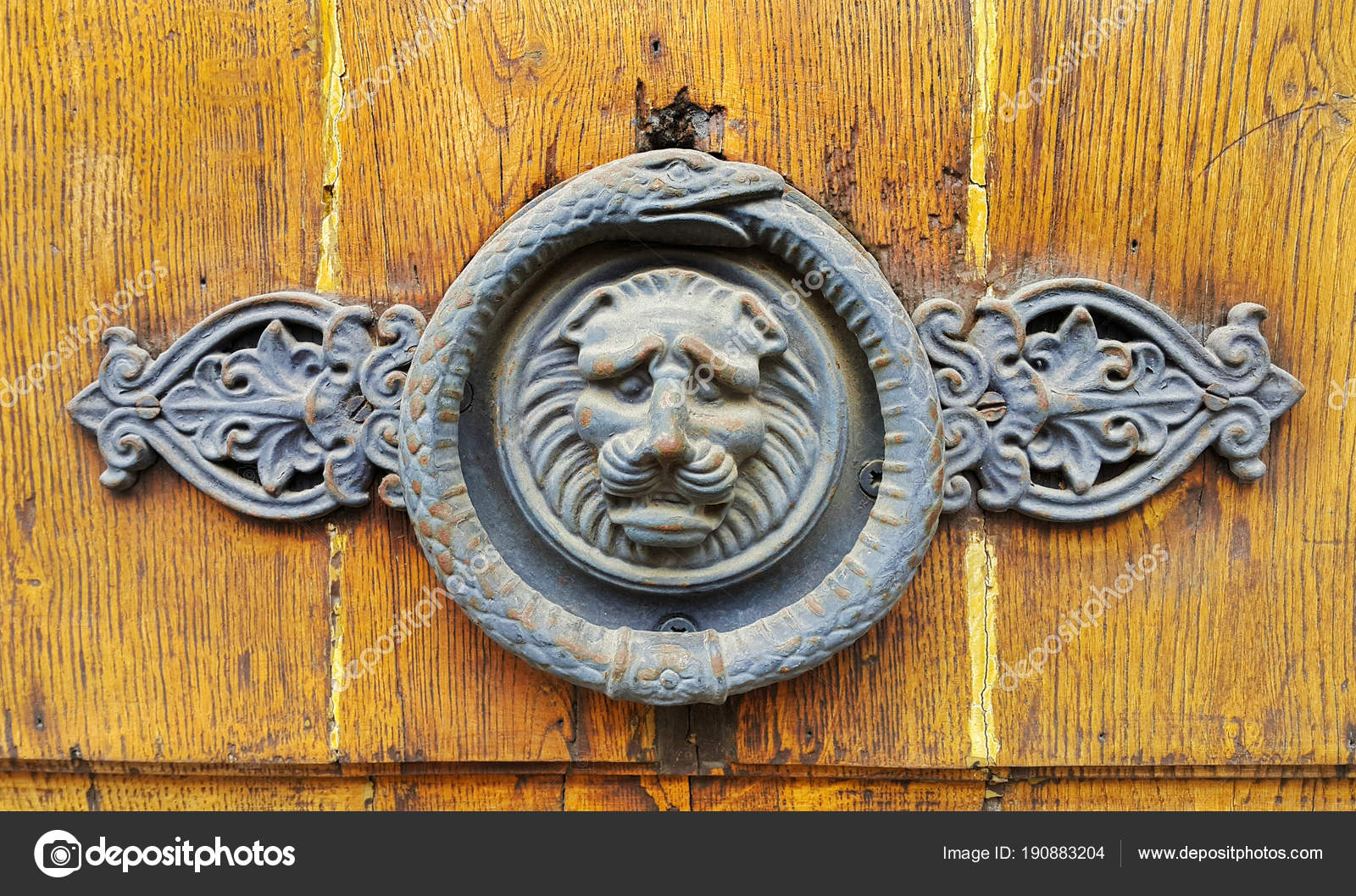 Vintage Wooden Texture With Decorative Lion Head And Snake
