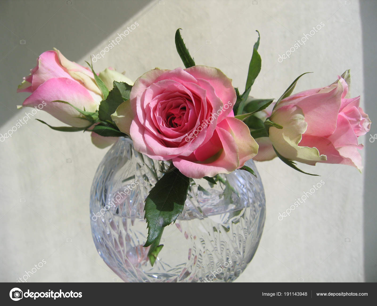 Pictures Crystal Vases Beautiful Tender Roses In A Crystal
