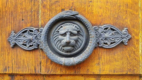 Vintage wooden texture with decorative lion head and snake ring — Stock Photo, Image