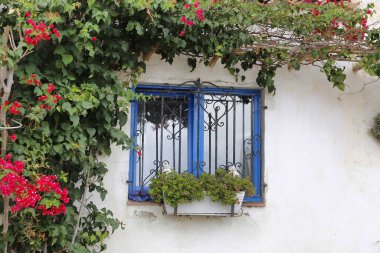 Güzel begonvil ve kırsal ev penceresi, Katalonya, İspanya