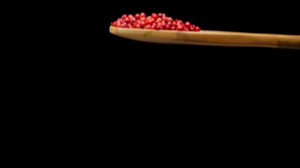 Red pepper in wooden spoon — Stock Video