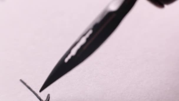 Hand schrijft met een pen — Stockvideo
