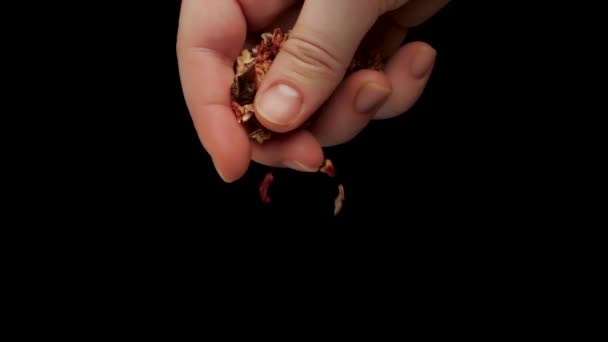 Chef adding dry ingredients to dish — 图库视频影像