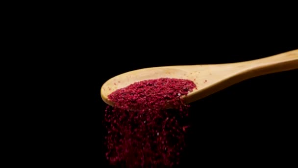 Powder of sumac in wooden spoon — Stockvideo