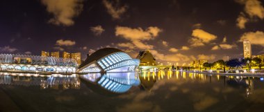 Valencia Sanat ve Bilim Şehri.