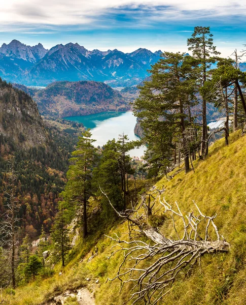 Alpler ve göller Almanya