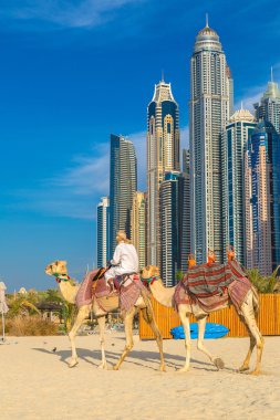 Dubai Yat Limanı bir yaz gününde