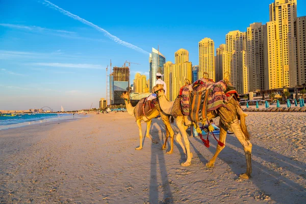 Dubai Marina egy nyári napon — Stock Fotó