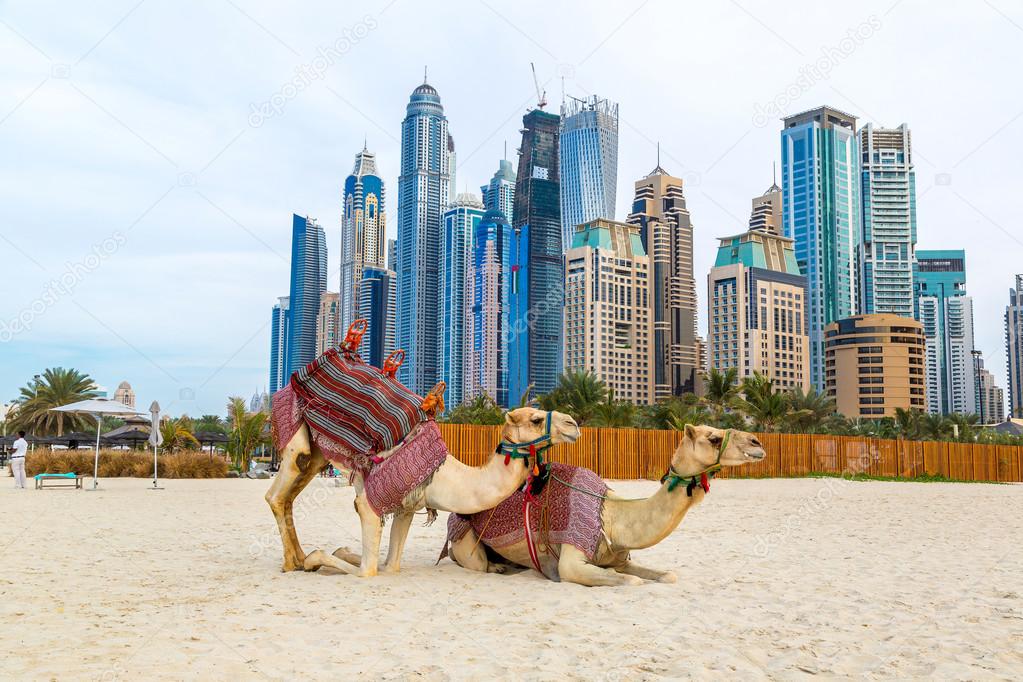 Dubai Marina on a summer day
