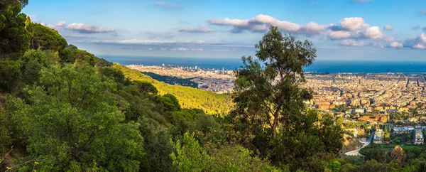 Barcelona in a summer evening — Stock Photo, Image