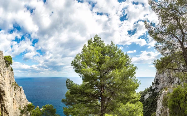 Capri island  in Italy — Stock Photo, Image